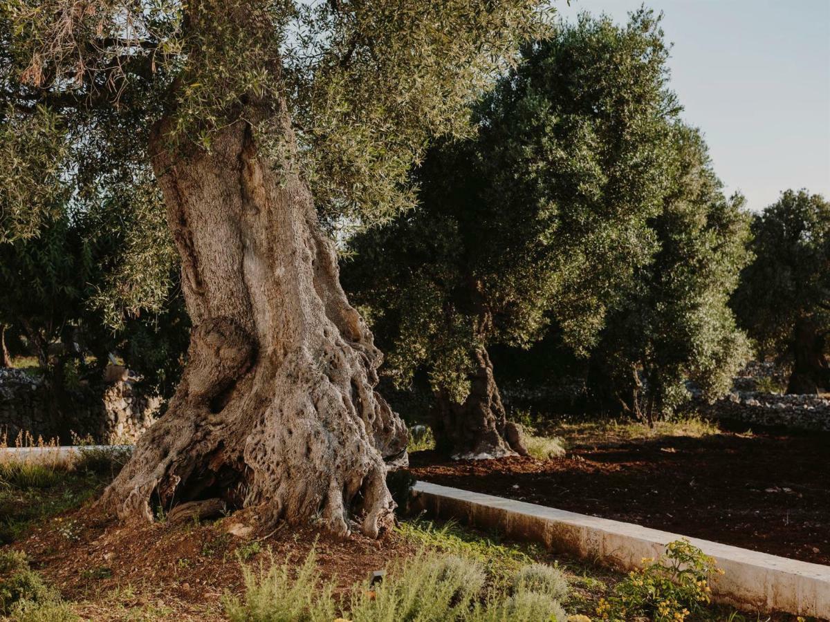 أوستوني Masseria Dagilupi المظهر الخارجي الصورة